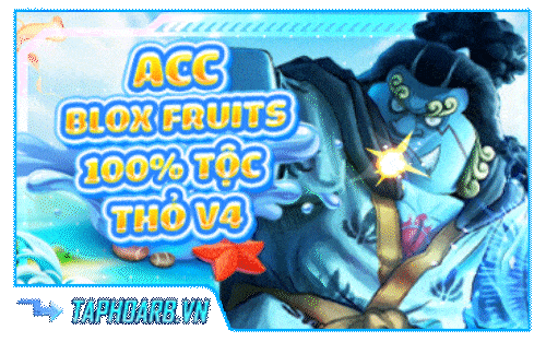 ACC BLOC FRUIT 100% CÓ TỘC THỎE V4