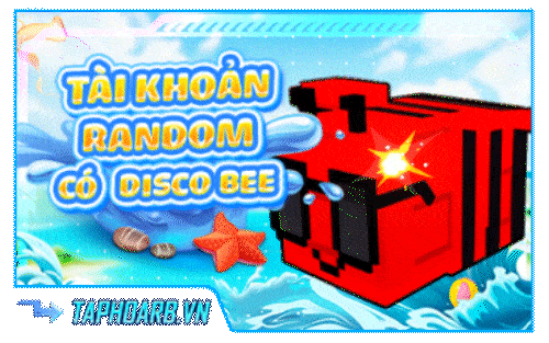 Tài Khoản 100% Có Disco Bee