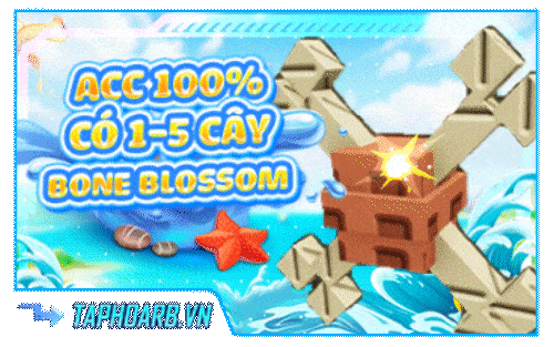 ACC BONE BLOSSOM