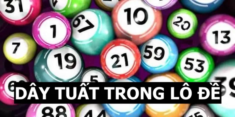 Dây Tuất Trong Lô Đề - Nắm Rõ Hơn Về Kết Quả Xổ Số Tại 23WIN