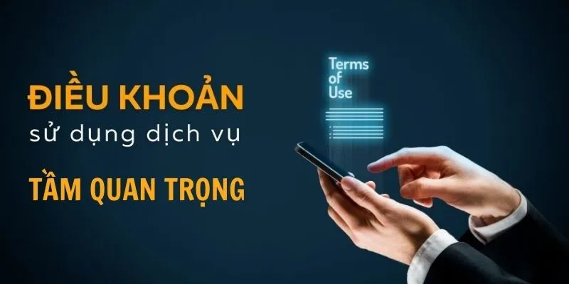 Thông tin cơ bản về các điều khoản và điều kiện