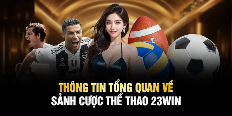 Lý do đông đảo khách hàng yêu thích cá độ tại sảnh thể thao 23WIN